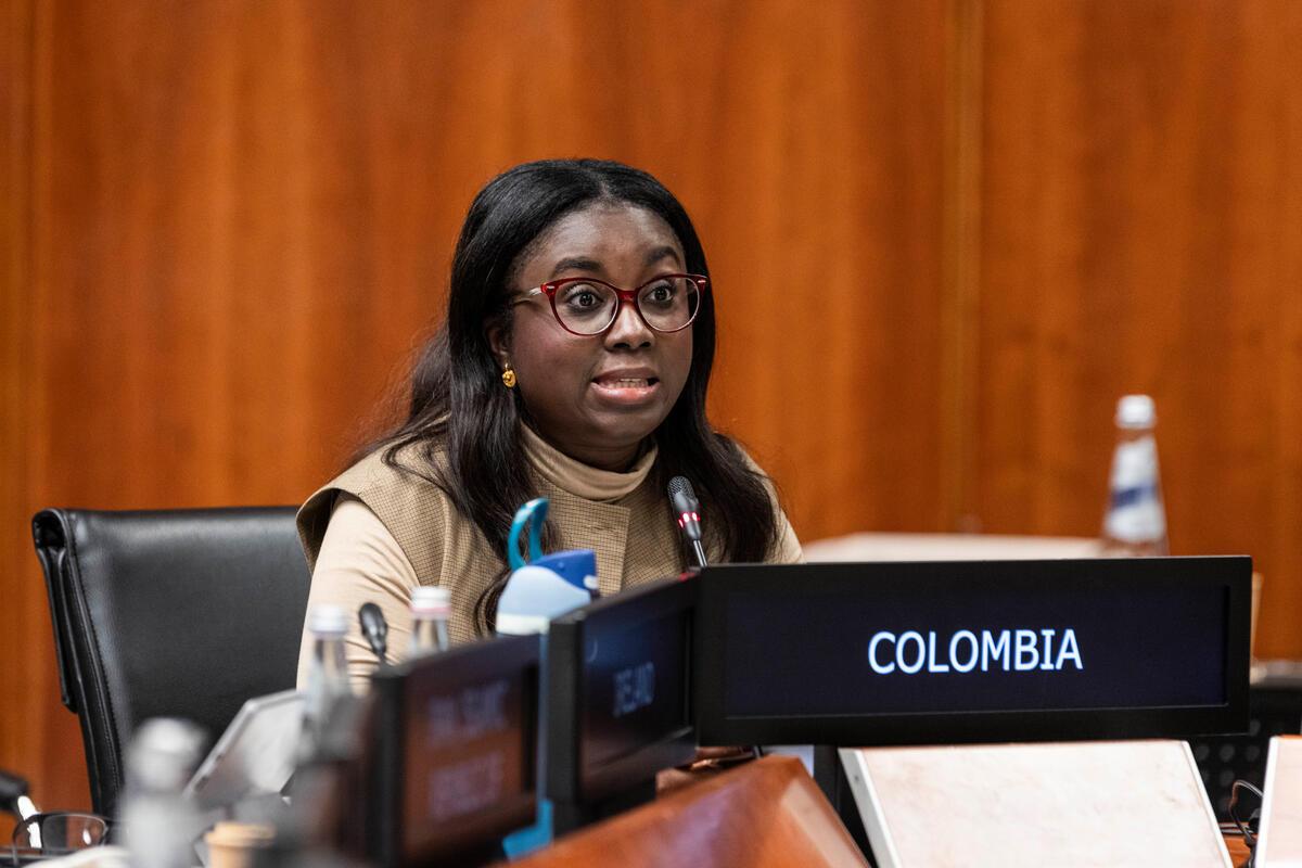 In the photo: intervention by H.E. Ms. Kandya Gisella Obezo Casseres, Colombia Vice Minister of Multilateral Affairs of the Ministry of Foreign Affairs. In the photo: intervention by H.E. Ms. Kandya Gisella Obezo Casseres, Colombia Vice Minister of Multilateral Affairs of the Ministry of Foreign Affairs.