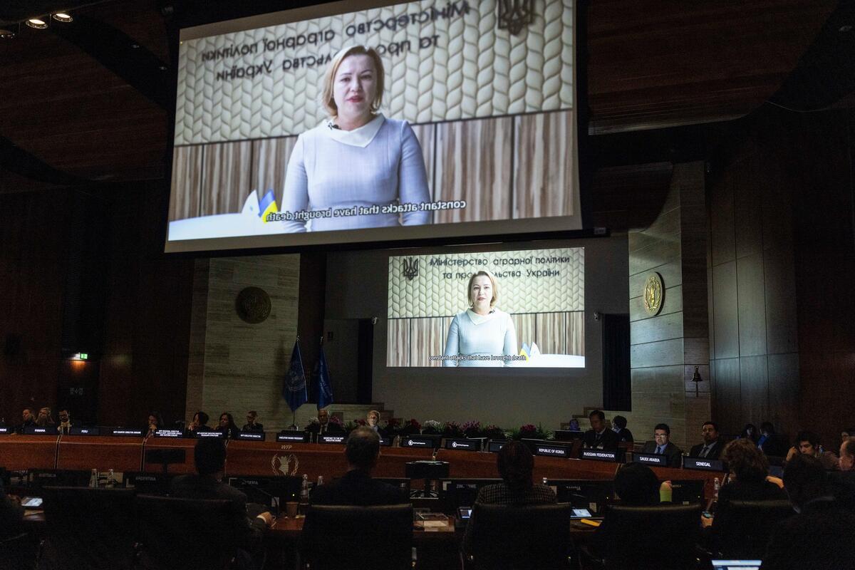 Video message from Oksana Osmachko, Deputy Minister of the Agrarian Policy of Ukraine. Photo: WFP/Matteo Minnella