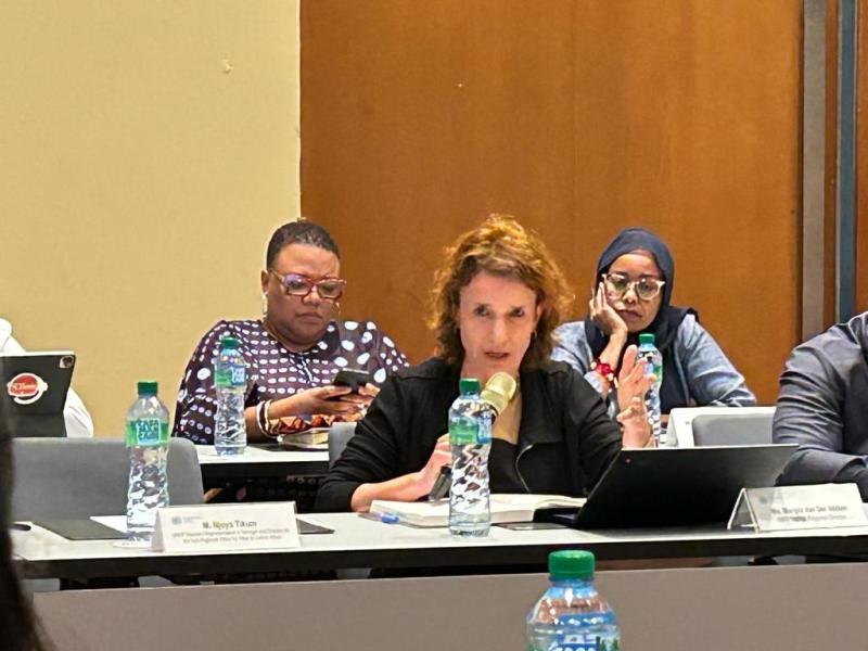 Ms Margot Van Der Velden, Deputy Regional Director a.i, WFP Regional Bureau in Dakar, addressing at a meeting with UN regional representatives.