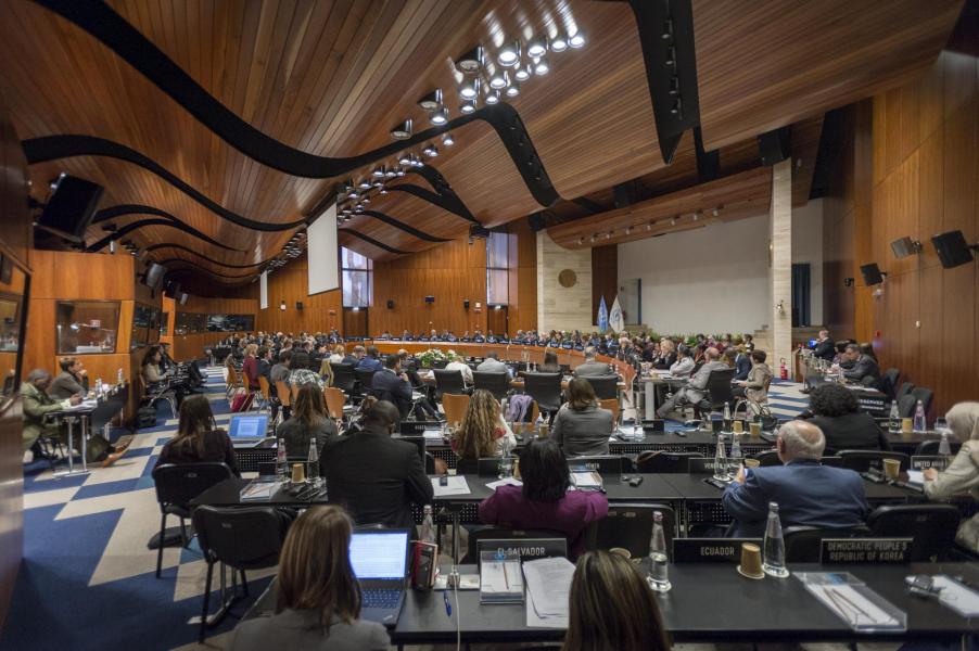 Photo: WFP/Giulio d'Adamo