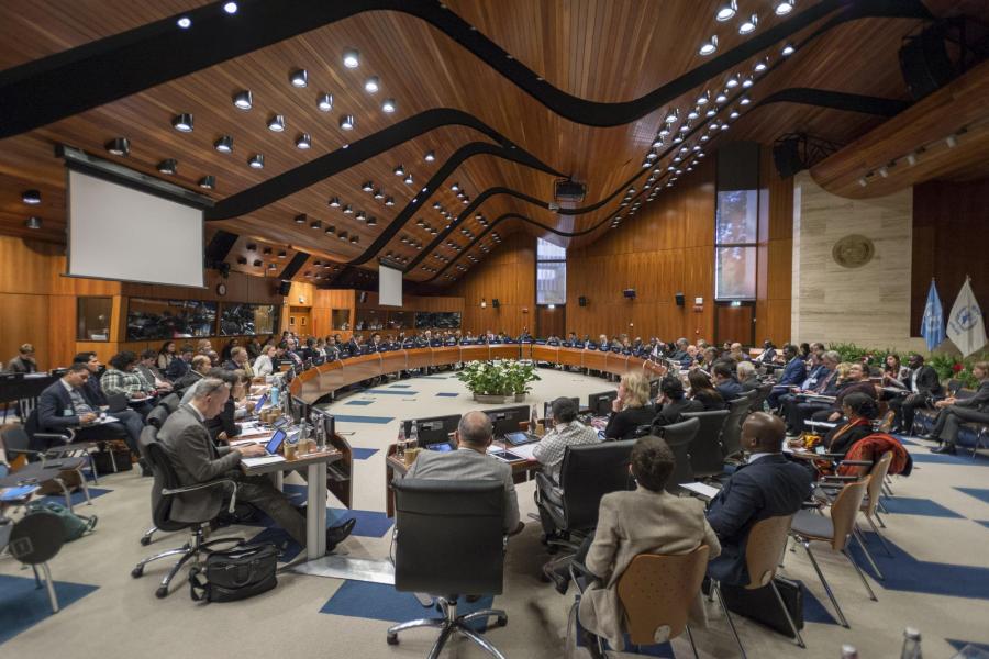 Photo: WFP/Giulio d'Adamo