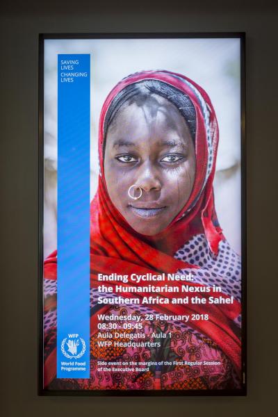 Photo: WFP/Giulio d'Adamo