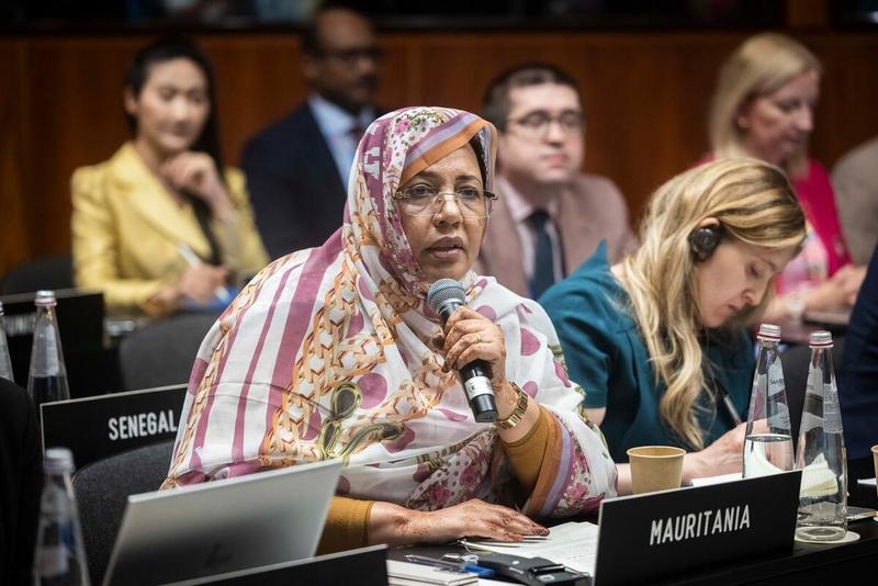 Intervention by the delegation of Mauritania. Photo credit: WFP/Matteo Minnella