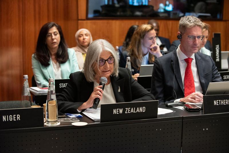 In the photo: intervention by delegation of New Zealand. Photo credit: WFP/Daria Addabbo