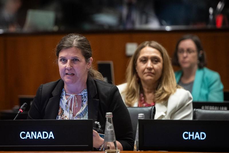 In the photo: intervention by the delegate of Canada. Photo credit: WFP/Matteo Minnella