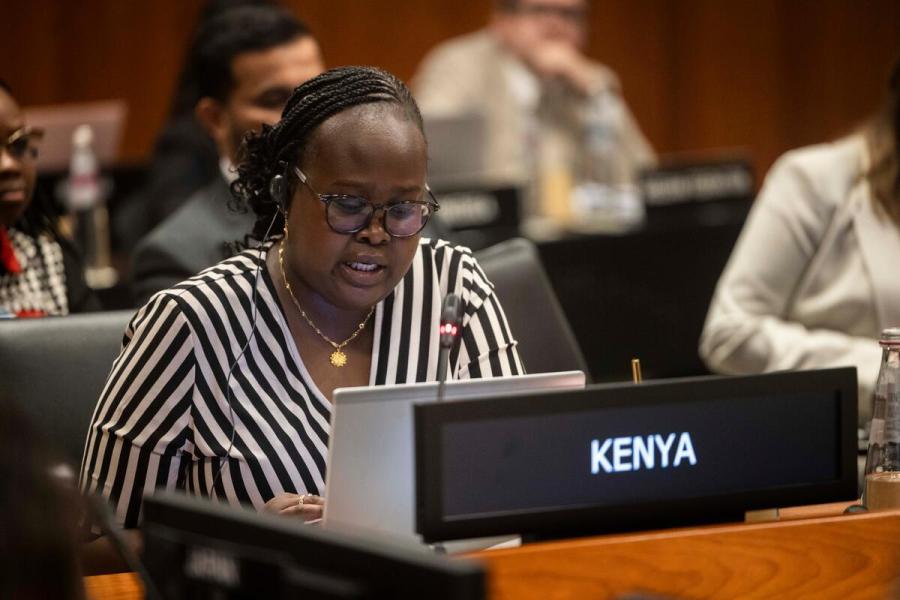 In the photo: intervention by the delegate of Kenya. Photo credit: WFP/Matteo Minnella