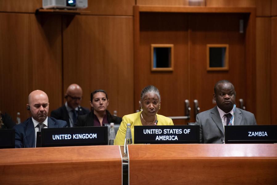 In the photo: intervention by the delegate of the United States of America. Photo credit: WFP/Dara Addabbo