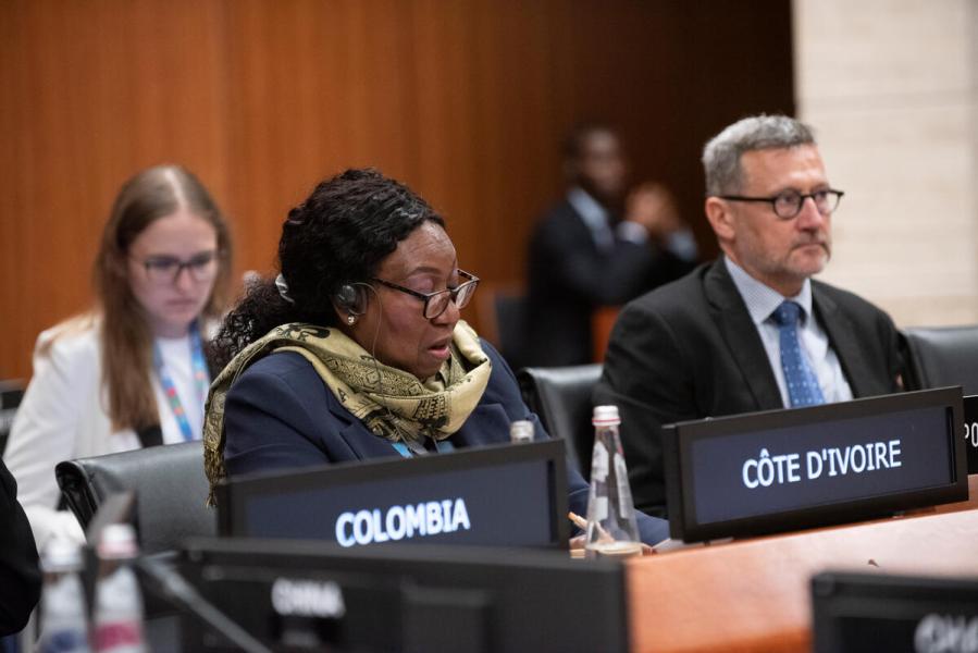 In the photo: intervention by the delegate of Cote d'Ivoire. Photo credit: WFP/Daria Addabbo