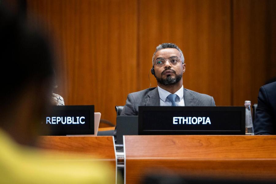 In the photo: intervention by the delegate of Ethiopia. Photo credit: WFP/Matteo Minnella