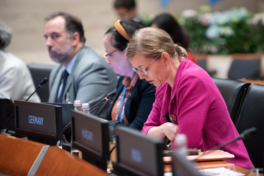 Intervention by the delegation of Germany. Photo credit: WFP/Daria Addabbo