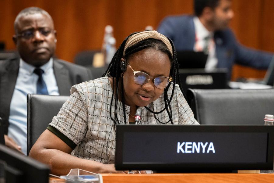 Intervention by the delegation of Kenya. Photo credit: WFP/Matteo Minnella