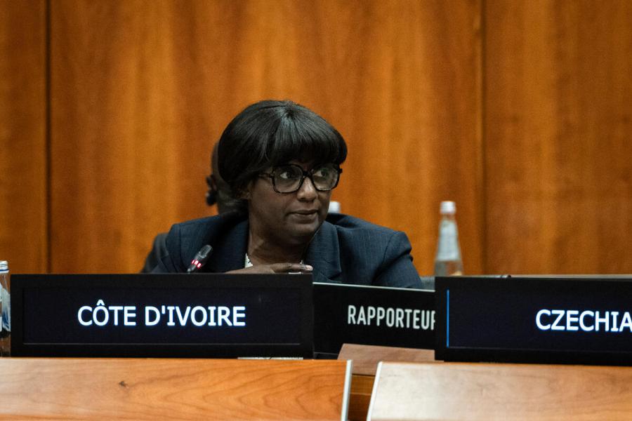 Intervention by the delegate of Cote d'Ivoire. Photo credit: WFP/Matteo Minnella