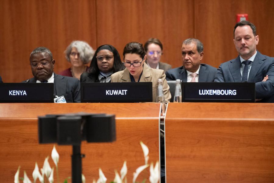 In the photo: intervention by the delegate of Kuwait. © WFP/Daria Addabbo