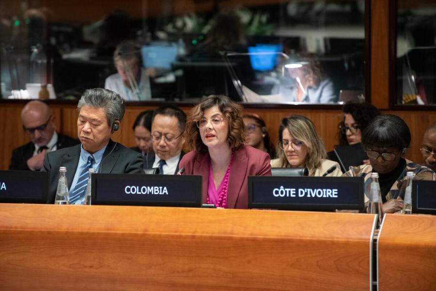 In the photo: intervention by H.E. Ms. Jhenifer Mojica FLOREZ, Designate Ambassador Extraordinary and Plenipotentiary of Colombia. © WFP/Daria Addabbo