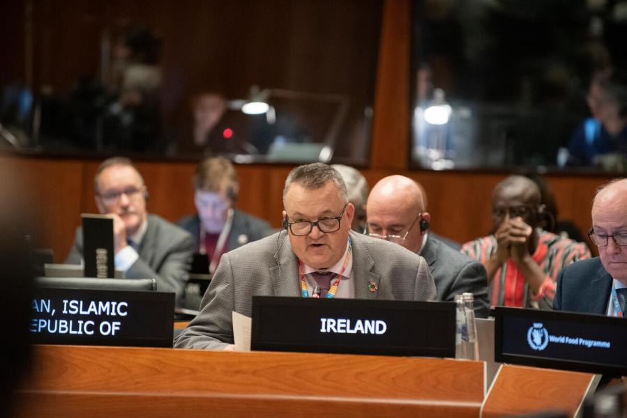 Intervention by H.E. Harry O’Crowley, Department of Agriculture, Food and the Marine of Ireland. © WFP/Daria Addabbo
