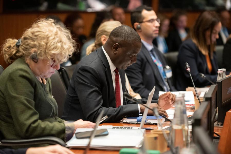 Intervention by the delegation of Zambia. © WFP/Daria Addabbo