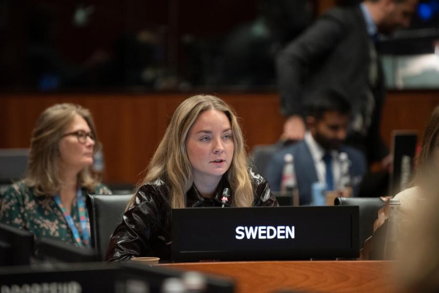Intervention by by the delegation of Sweden. © WFP/Daria Addabbo