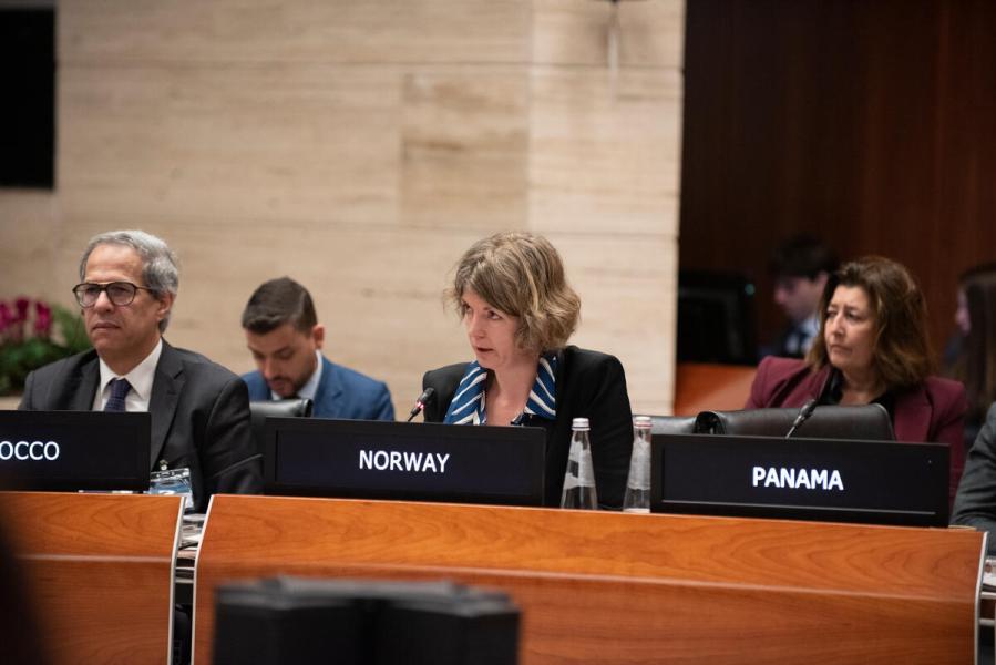 Intervention by the delegation of Norway. © WFP/Daria Addabbo