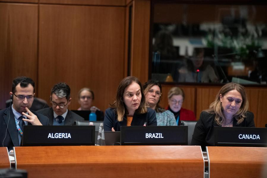 In the photo: intervention by H.E. Ms. Carla  Barroso Carneiro, Ambassador, Permanent Representative of Brazil. © WFP/Daria Addabbo