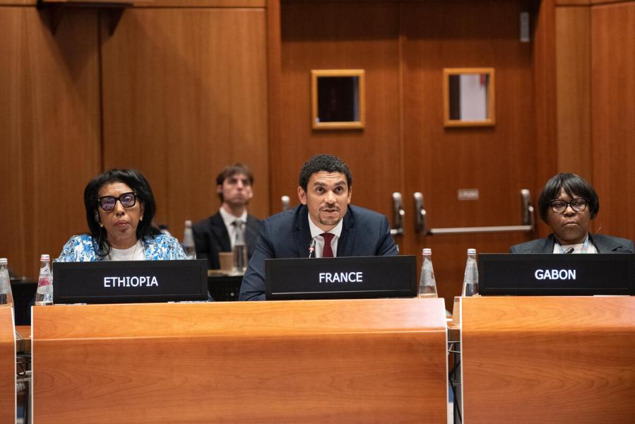 In the photo: intervention by  H.E. Mr Sylvain Fournel, Deputy Permanent Representative of France. © WFP/Daria Addabbo