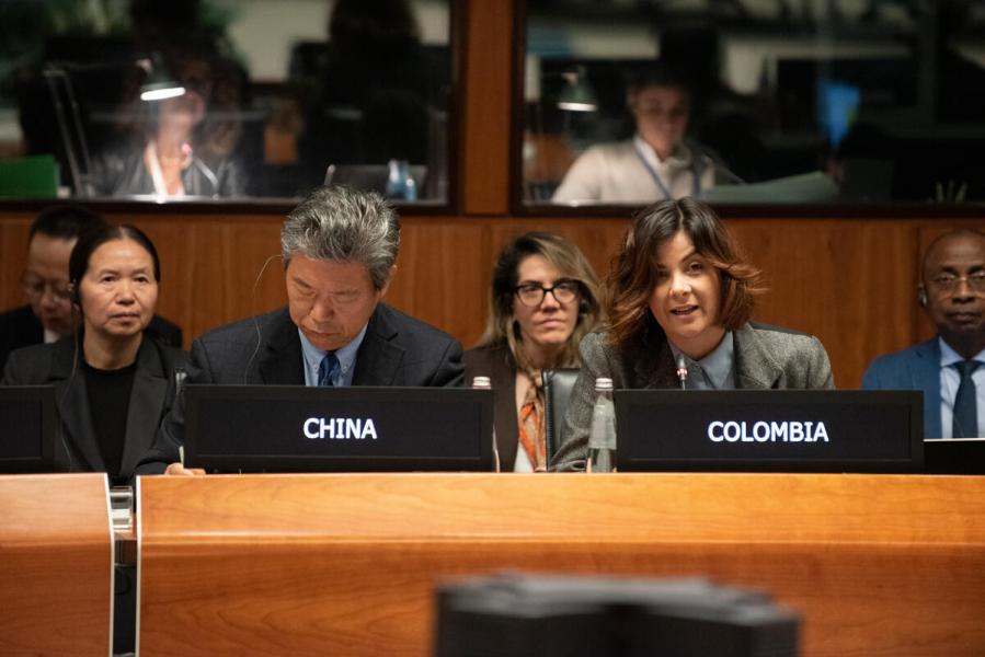In the photo: intervention by H.E. Ms. Jhenifer Mojica FLOREZ, Designate Ambassador Extraordinary and Plenipotentiary of Colombia. © WFP/Daria Addabbo
