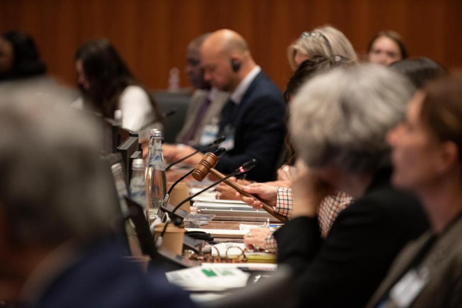 In the photo: intervention by H.E. Ms. Elissa Golberg, Ambassador and Permanent Representative of Canada and President of the WFP Executive Board 2025. © WFP/Daria Addabbo