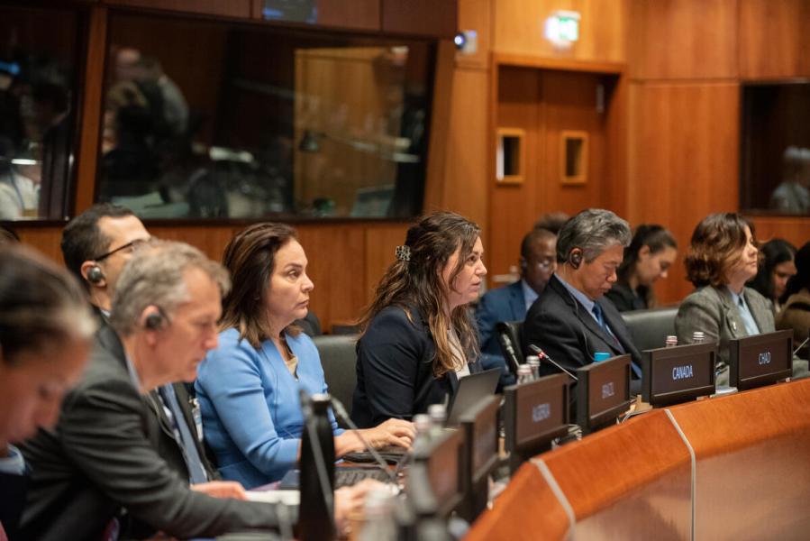 In the photo: intervention by the Delegation of Canada. © WFP/Daria Addabbo