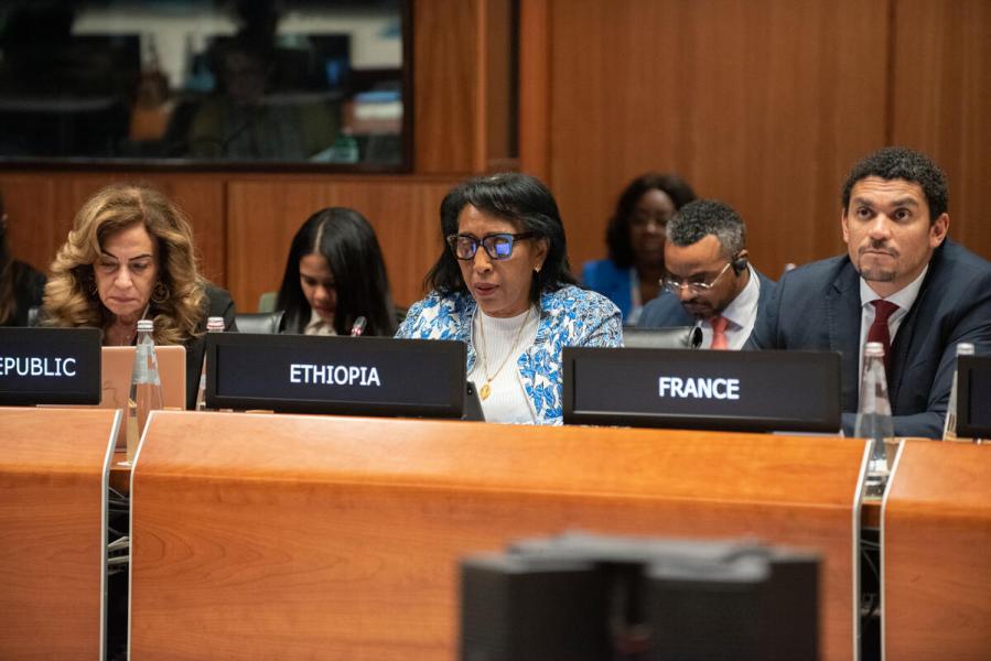 In the photo: intervention by H.E. Ms. Demitu HAMBISA BONSA, Ambassador Extraordinary and Plenipotentiary and Permanent Representative of Ethiopia. © WFP/Daria Addabbo