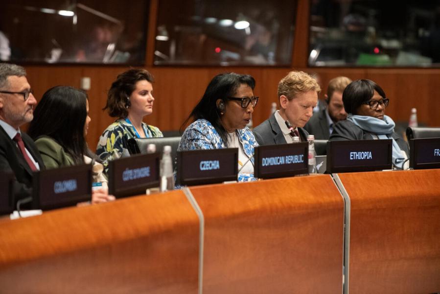 Intervention by H.E. Ms. Demitu Hambisa Bonsa, Ambassador Extraordinary and Plenipotentiary and Permanent Representative of Ethiopia. © WFP/Daria Addabbo