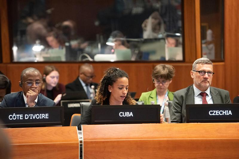 Intervention by the delegation of Cuba. © WFP/Daria Addabbo