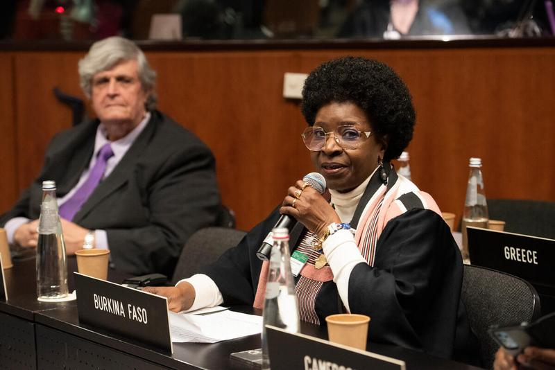 Intervention by the delegation of Burkina Faso. © WFP/Daria Addabbo