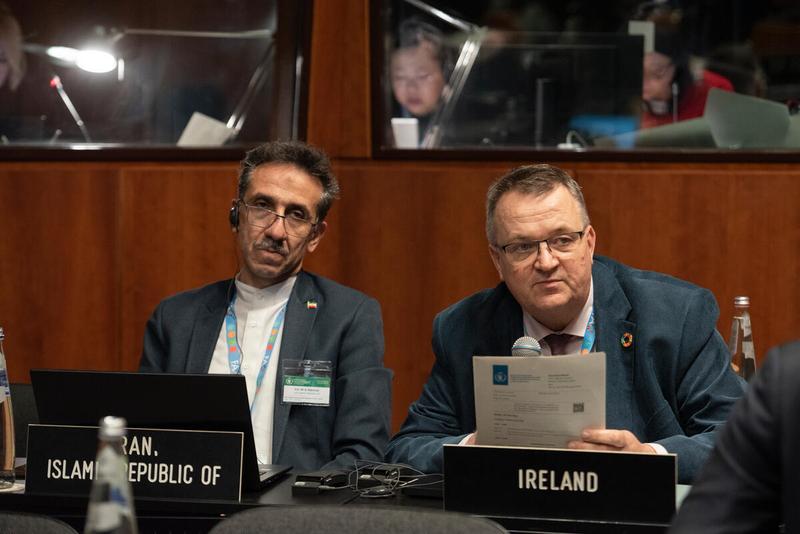 Intervention by the delegation of Ireland. © WFP/Daria Addabbo