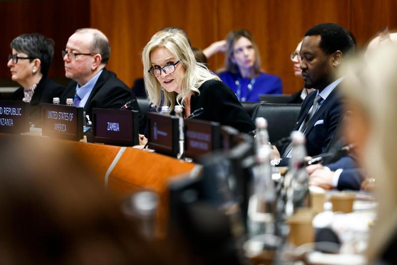 In the photo: intervention by H.E. Ms Lynda Blanchard, Ambassador and Permanent Representative of the United States of America.  © WFP/Matteo Minnella
