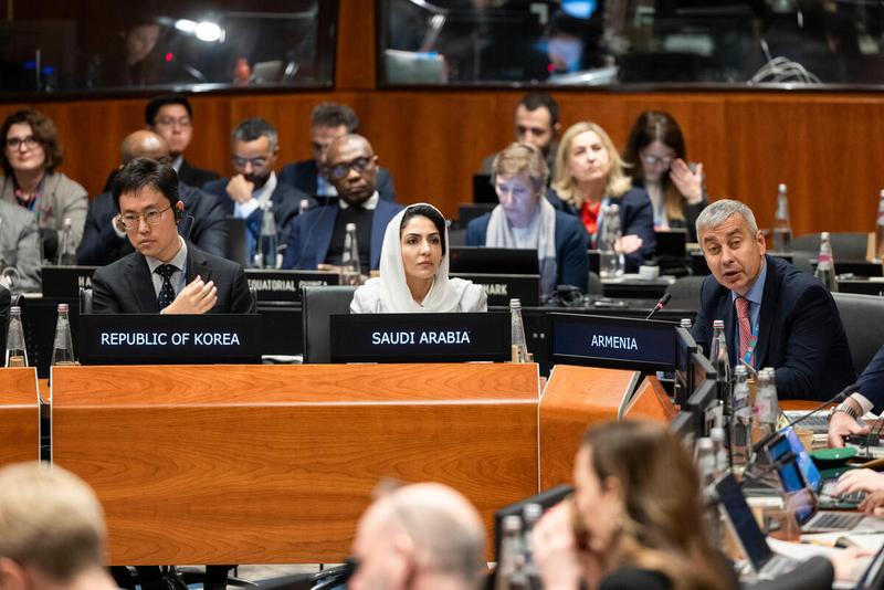 Intervention by the delegation of Armenia. © WFP/Matteo Minnella