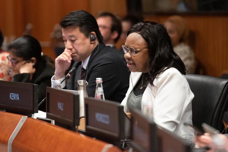 Intervention by the delegation of Kenya. © WFP/Daria Addabbo
