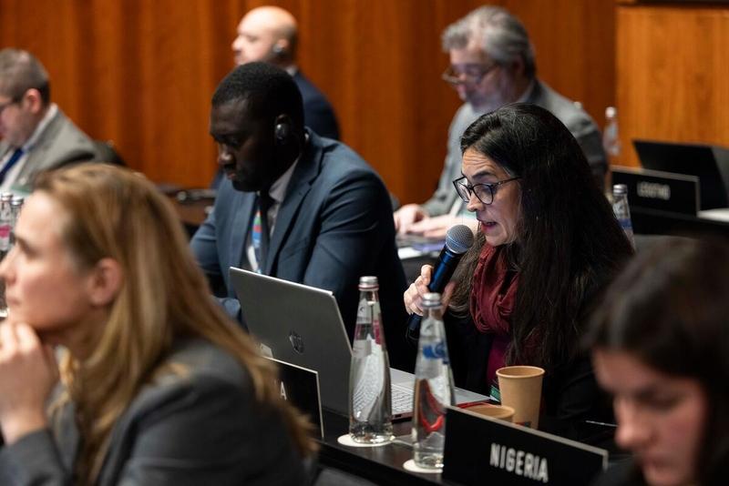 Intervention by the delegation fo Venezuela. © WFP/Matteo Minnella