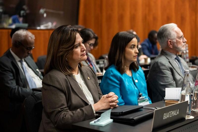 H.E. Karin Herrera, Vice President of the Republic of Guatemala. © WFP/Matteo Minnella