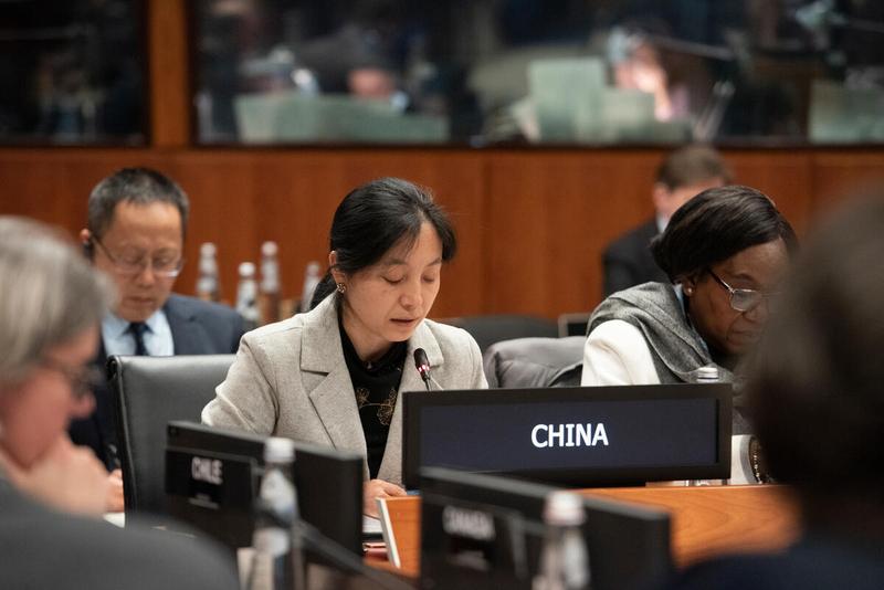 In the photo: intervention by the delegation of the Republic of China. © WFP/Daria Addabbo