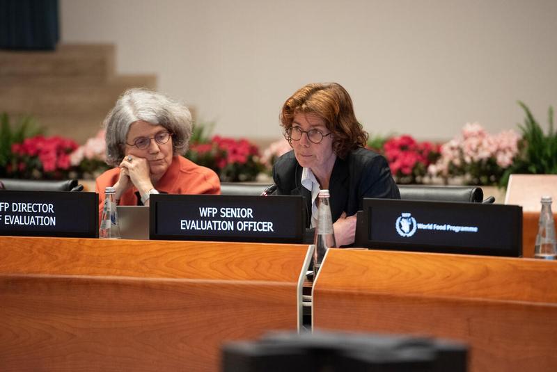 In the photo: intervention by Ms Julie Thoulouzan, WFP Senior Evaluation Officer. © WFP/Daria Addabbo