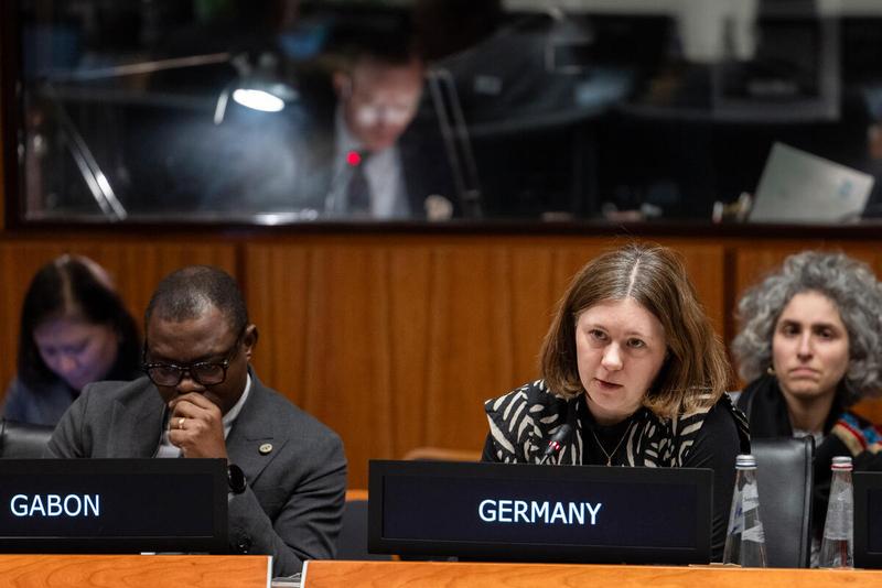 In the photo: intervention by the delegation of Germany. © WFP/Daria Addabbo