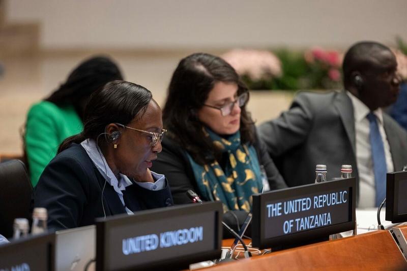 In the photo: intervention by the delegation of Tanzania. © WFP/Matteo Minnella