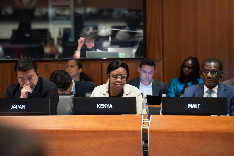 In the photo: intervention by the delegation of Kenya. © WFP/Daria Addabbo