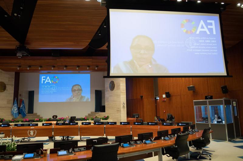 WFP HQ Rome, 22 June 2021 - Impacting Nutrition through a Fresh Food Voucher Programme in Ethiopia. Side event on the margins of the Annual regular session of the Executive Board, 2021 In the photo: Intervention by Ms Fatouma Seid, FAO Representative in Ethiopia, (on screen). - Photo: WFP/Rein Skullerud