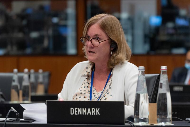 Ms. Jette Michelsen Counsellor, Deputy Permanent Representative of Denmark asking a question following the presentation by Mr. Michael Dunford· Regional Director for Eastern Africa. Photo: WFP/Rein Skullerud