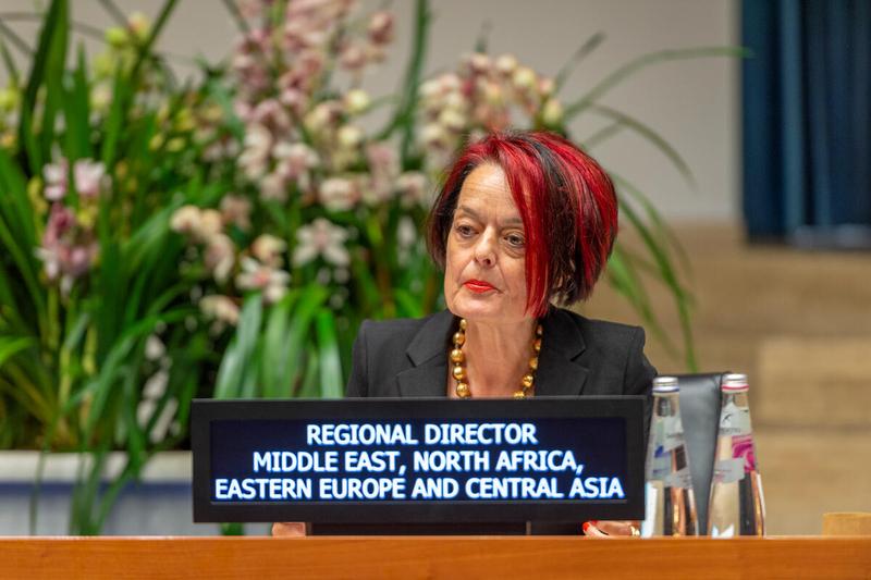 Intervention by Ms. Corinne Fleischer, Regional Director for Middle East and Northern Africa. Photo: WFP/Giulio d'Adamo