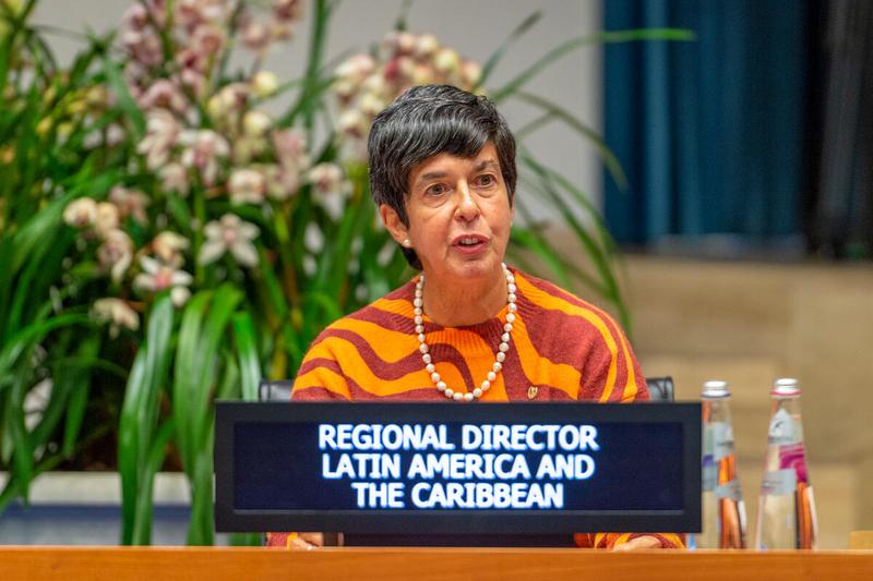 Intervention by Ms. Lola Castro, Regional Director Latin America and The Caribbean. Photo: WFP/Giulio d'Adamo
