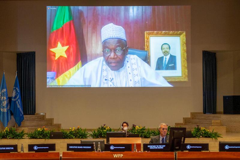 Intervention by H.E. Gabriel Mbairobe, Minister of Agriculture and Rural Development of Cameroon. Photo: WFP/Giulio d'Adamo