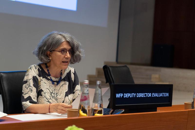 Southern Africa Portfolio Presentation by Ms. Anne-Claire Luzot, Deputy Director of Evaluation Photo: Rein Skullerud