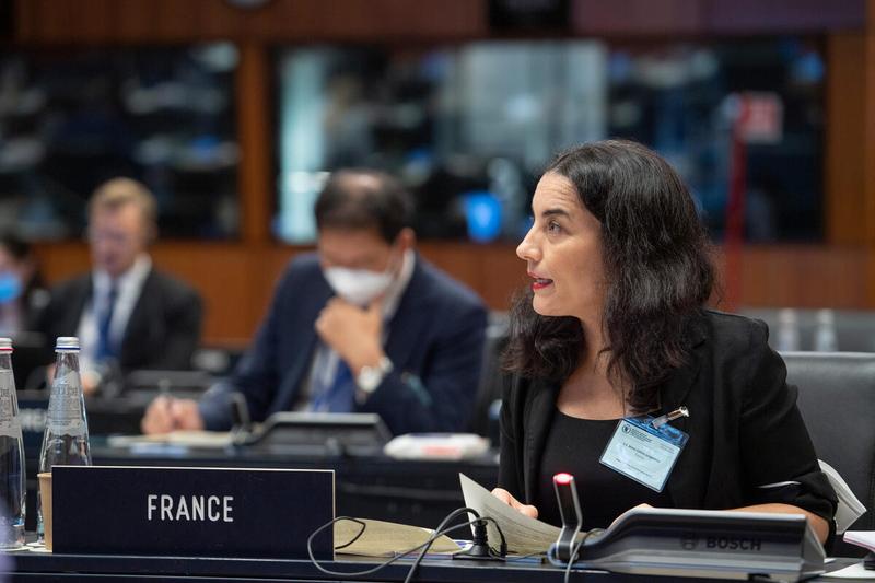 Update on Food Procurement Intervention by H.E. Ms. Celine Jurgensen of France. Photo: Rein Skullerud