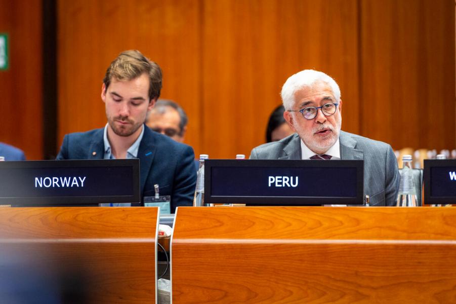 Intervention by H.E. Mr. Julio Eduardo Martinetti Macedo, Ambassador and Permanent Representative of Peru. Second Regular Session of the Executive Board (EB.2/2022).